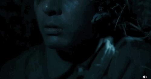 在线观看国产九一视频,揭秘历史风云，重温民族记忆